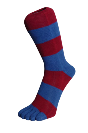 Zehensocken, Blockringel, weinrot-royalblau